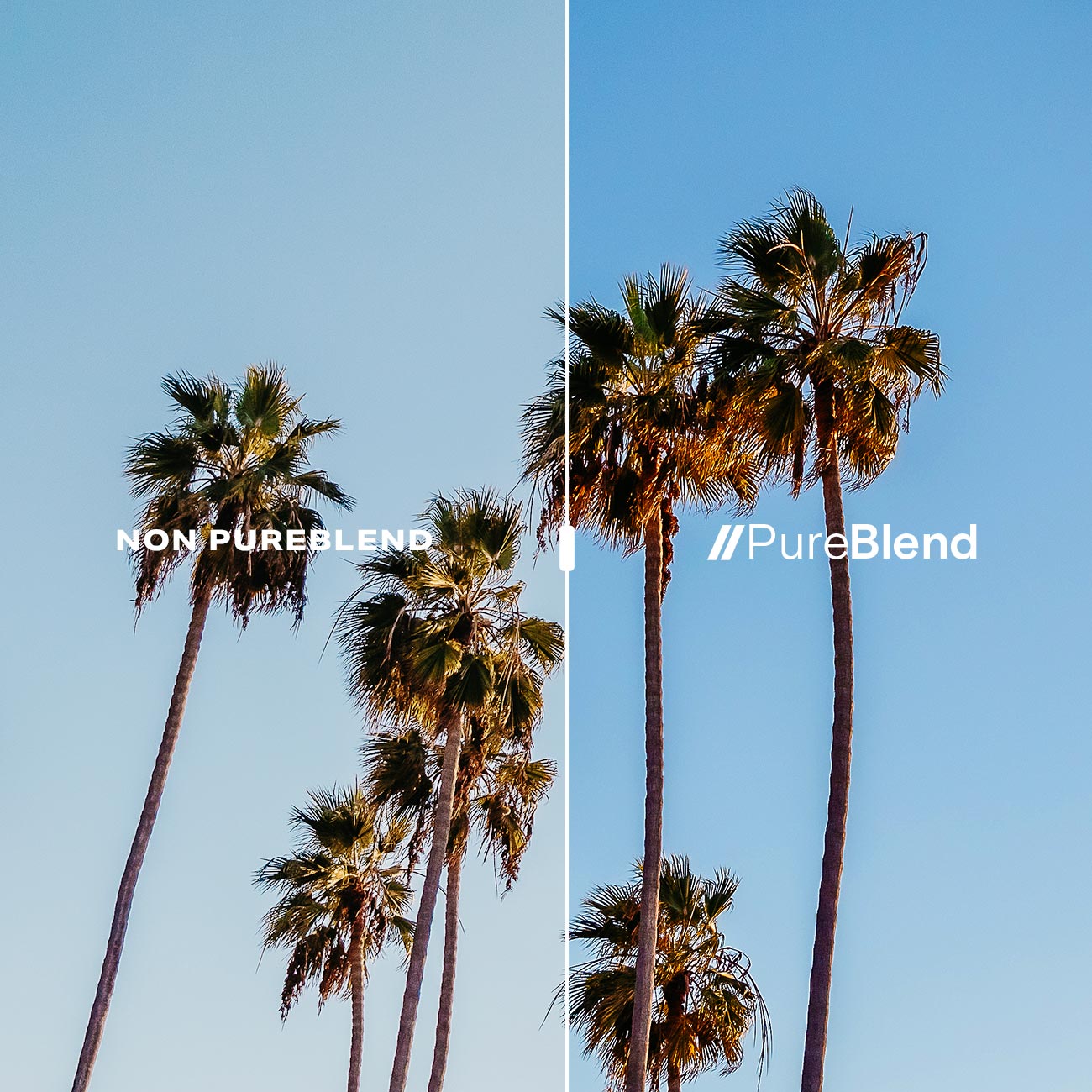 Blenders Eyewear
