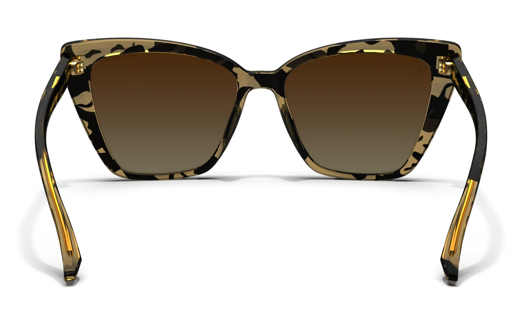 Mojave Tort 6