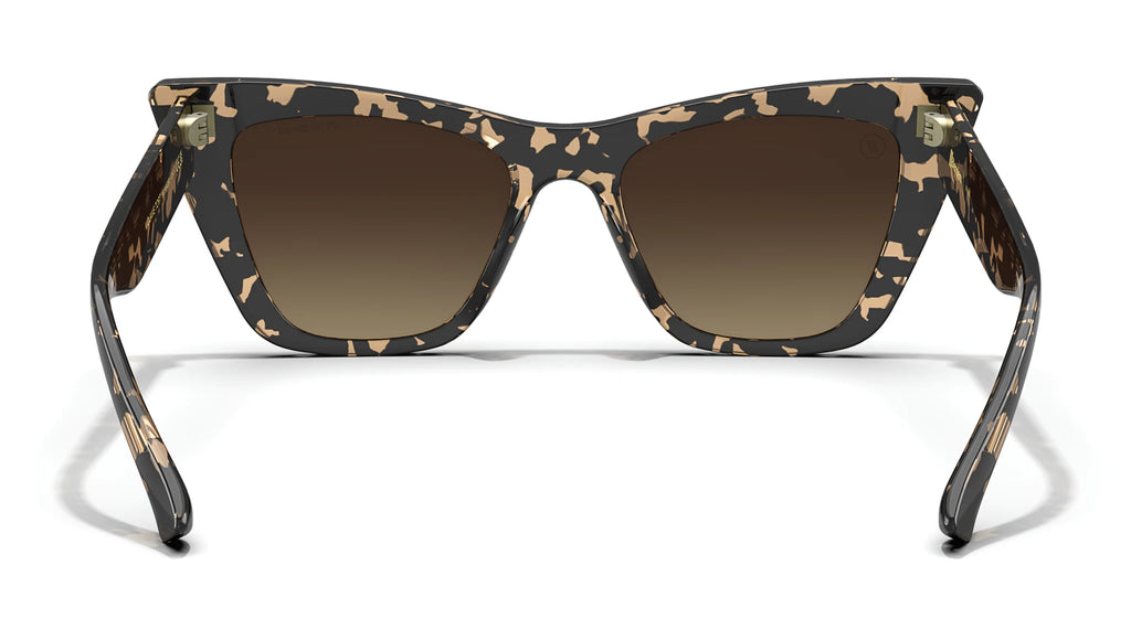 Mojave Tort 6