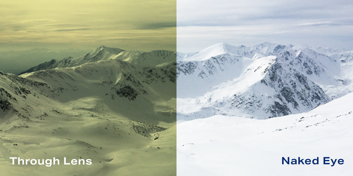 Rose Bros Low Light | Aura Spare Lens