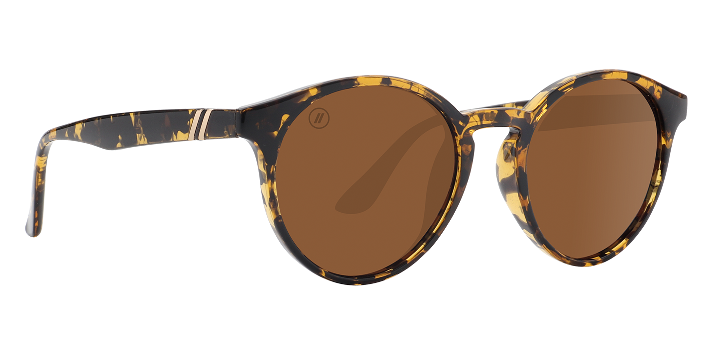 All Sunglasses - Latest Trendy Sunglasses for Men & Women