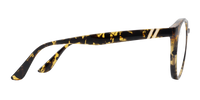 Slim Tiger Thumbnail Image 5